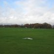 Hearsall Common, a Haven of Nature