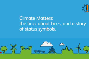 Climate matters: The Buzz About Bees, and a Story of Status Symbols