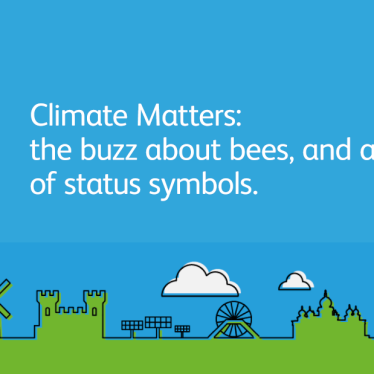Climate matters: The Buzz About Bees, and a Story of Status Symbols
