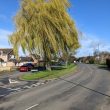 Voluntary Tree Planting on the Willowdene Estate