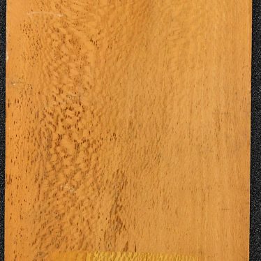 A slab of Cookes English maple - back A slab of Cookes English maple - back | Image courtesy of Claudia Davies