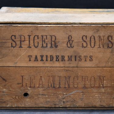 Spicer's Toolbox
