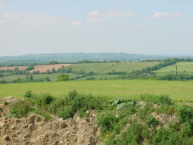 View from Cross Hands Quarry towards Ebrington Downs | Image courtesy of Jon Radley