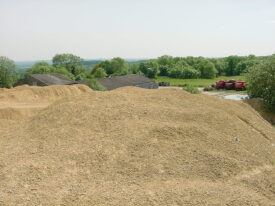 Cross Hands Quarry spoil tips, where Warwickshire Museum takes groups to look for fossils