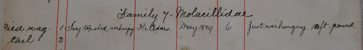 Part of the notebook referencing the Cedars