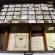 The Drawer