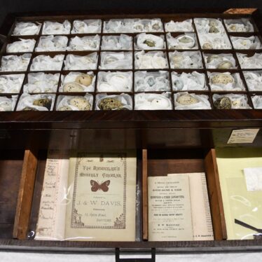 The cabinet drawer showing the documents and notes found when it was opened The cabinet drawer showing the documents and notes found when it was opened | Image courtesy of Victoria Young