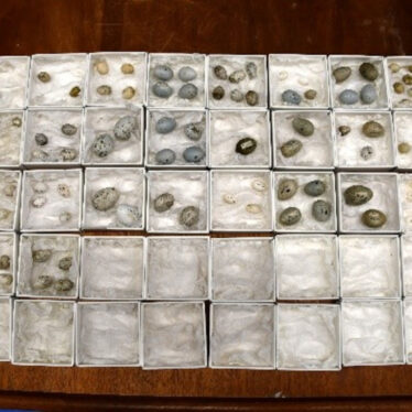 Replica of the cabinet layout containing the eggs | Image courtesy of Victoria Young