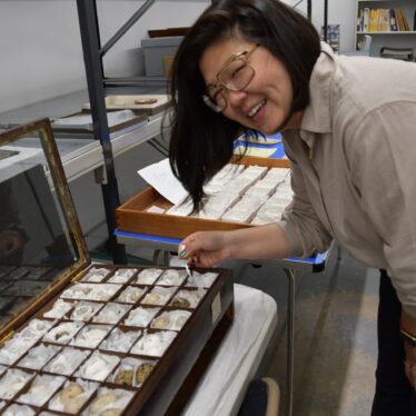 Lily placing the final egg back into the cabinet | Image courtesy of Victoria Young