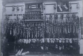 Black and white Photo of Currall Saddlers shop. Hanging outside the shop are rows of saddles, saddles bags and horse harnesses. On a rectangular board above these rows is written the business name, Currall. Saddler Collar Harness Maker. | Warwickshire County Record Office reference PH1035.